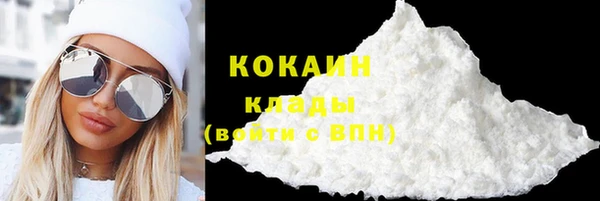 гидра Аркадак