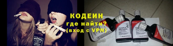 гидра Аркадак