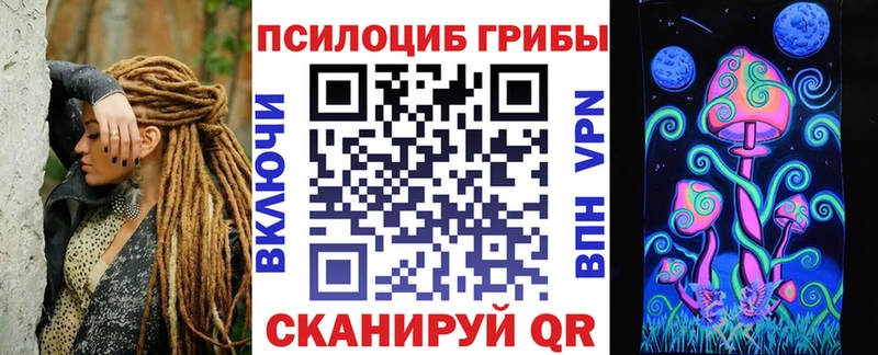 Псилоцибиновые грибы Psilocybine cubensis  магазин продажи наркотиков  Бобров 